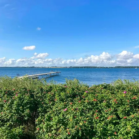 Charming From 1870 On Fejo * Vejro